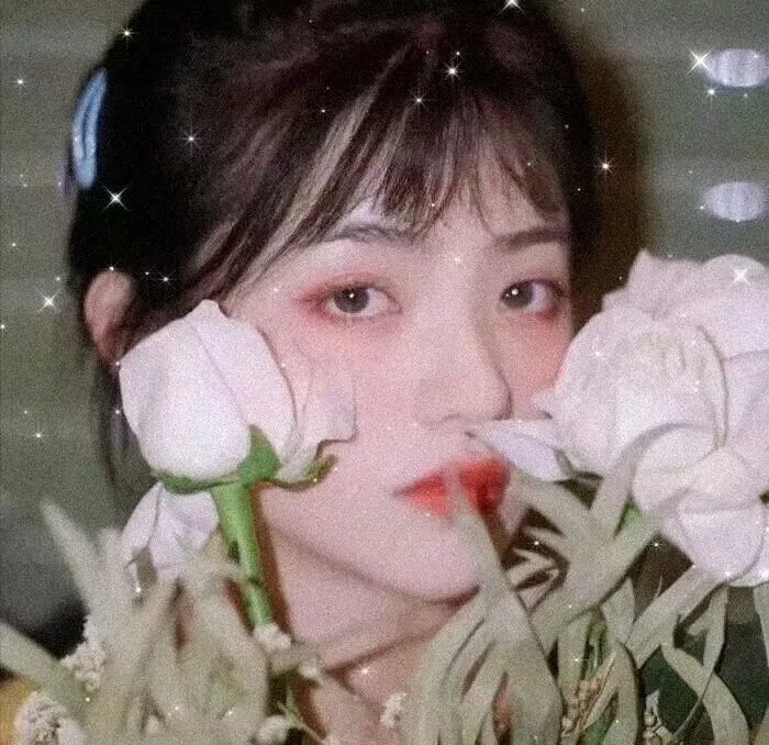 兄弟之仇